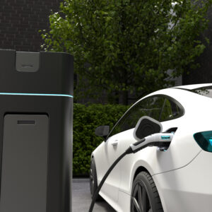 Carga electrica
